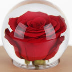 Bouquet Éternel Lumiora™ — Fleurs Qui Ne Fanent Jamais